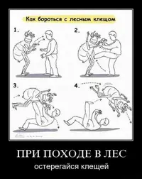 Pmt00Kk4yk0.webp