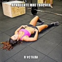 2392599837.webp