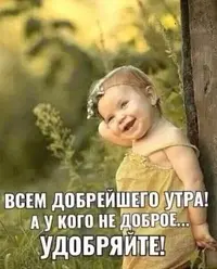 32d3c5edb9ffe77442c42b11b56bce0f.webp
