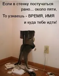 20210411_233404.webp