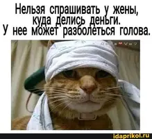 IMG-83e647998112745a15cf2d45adc9cd8e-V.webp