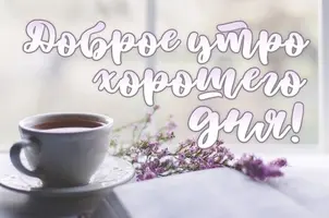 564179de99a24ee3594f3dd978a0c5f8.webp