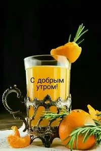 77fa4426d3688e3288721ba5ed2facc9.webp