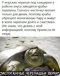 IMG_20210412_235731.webp