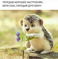 2021-04-13-10-15-26.webp