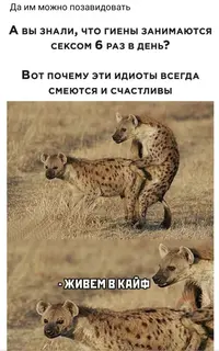 IMG_20210413_085541.webp