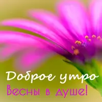 Dobroe-utro-vesny-v-dushe.webp