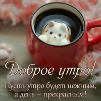 7basVONDcu.webp