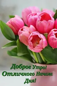 acb5584b2f6277fbb94914e7d5dfe0e6.webp