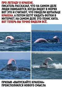 15449203.webp