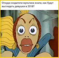 1557515886128062131.webp