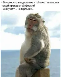 Screenshot_20210414_154905.webp
