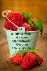 IMG-20210414-WA0006.webp