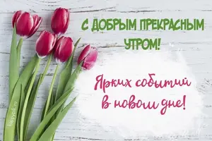 53c24d4ef00aeb0515df286997eaa4a8.webp