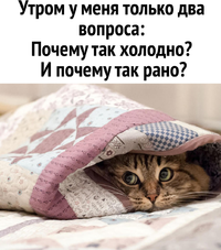 1618461752047.jpg.webp