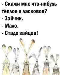 IMG-2f281437a636fddf150c4766301d1e4d-V.webp