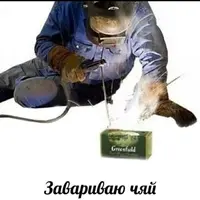 15376983.webp