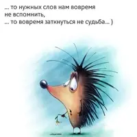 1551419427130762177.webp