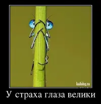 i (11).webp