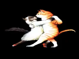 y_d5e124a0.webp