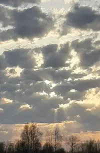 20210415_212320.webp