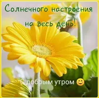 Screenshot_20210415_104856.webp