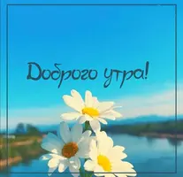 IMG_20210416_075738.webp