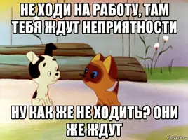 kotenok-gav_210335617_orig_.webp