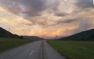 Screenshot_20210416-124801_Gallery.webp