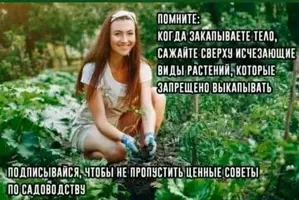 15257295.webp