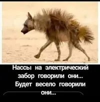 15270026.webp