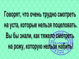 20210415_171914.webp