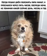 1557226782114613107.webp