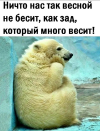20210416_191539.webp