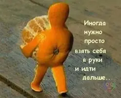 e17762db9c73f96152a5b5150875d9d2.webp