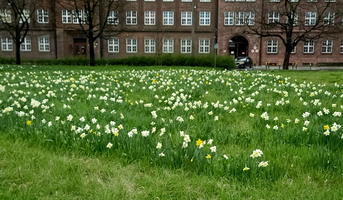 img_20210417_143653.hkTSW.webp