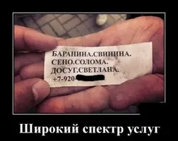 IMG-20210417-WA0001.webp