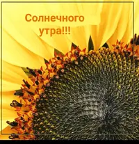 IMG_20210418_065501.webp