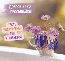 Прикольные-картинки-доброе-утро-воскресенье001.webp