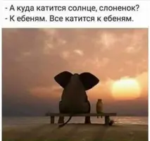 20210418_144930.webp