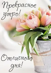 ea262cd7d353fc1bec51b392878bf58d.webp
