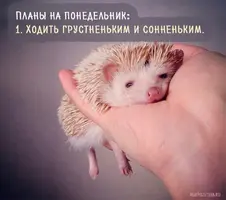 ee09bf8d0dc44ee5a8baf6985cd1453e.webp