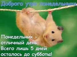 f28cc5873955d7bd26fce1e1a8a2f1b6.webp
