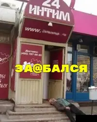 15313474.webp