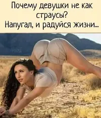 84GhGIsxiNE.webp