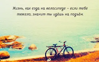 2380_1450874689.webp