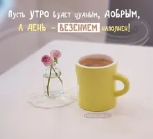 8b77362347b766005d82e0134eb17c84.webp