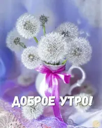 IMG-20210419-WA0005.webp
