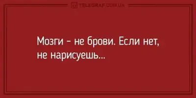 FB_IMG_1618688223324.webp