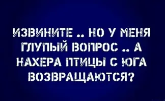20210420_121446.webp